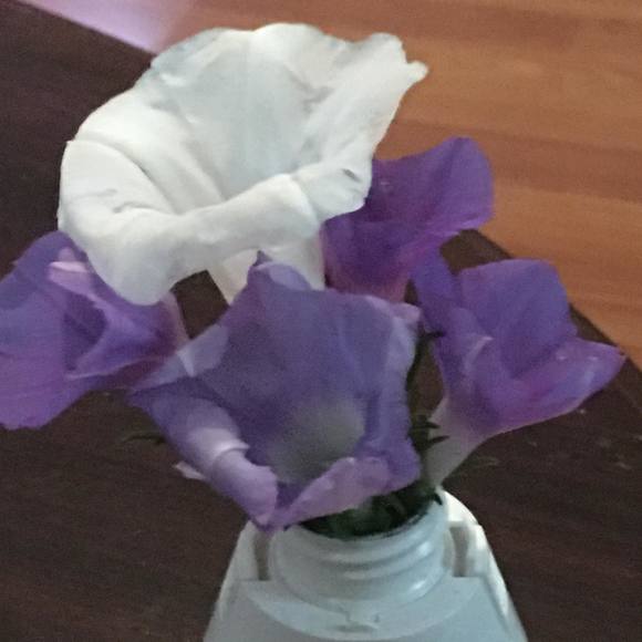 Meet your Posher, Charlotte - Picture 1 of 1